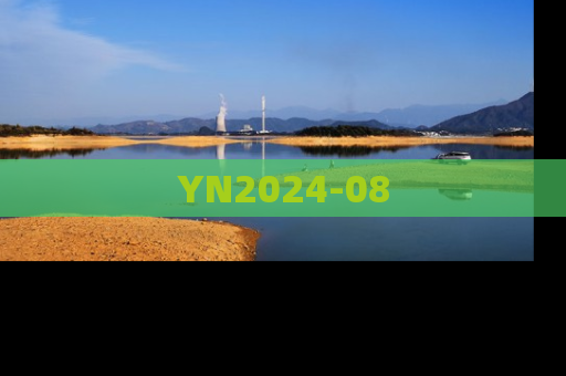 YN2024-08