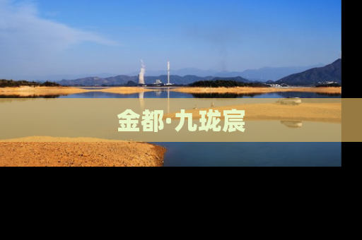 金都·九珑宸
