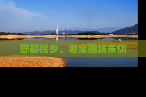 野胡拐乡、老定魏线东侧