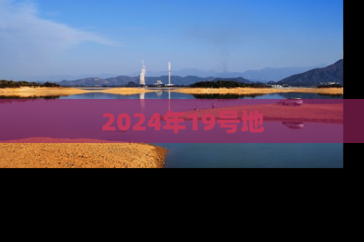2024年19号地