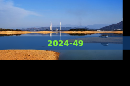 2024-49