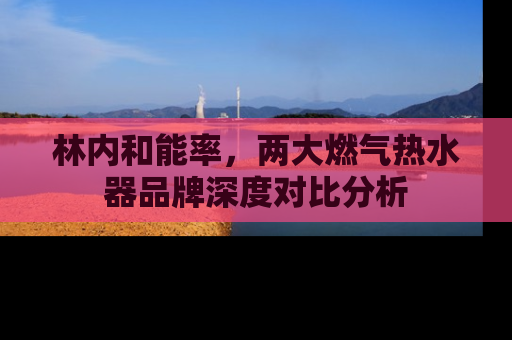 林内和能率，两大燃气热水器品牌深度对比分析