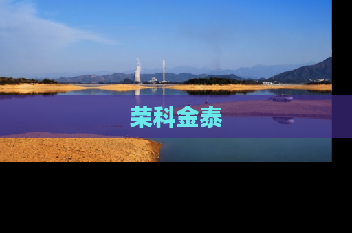 荣科金泰