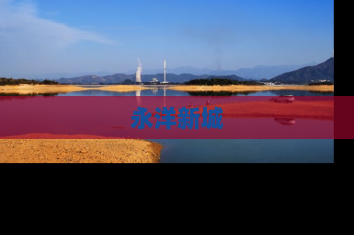 永洋新城