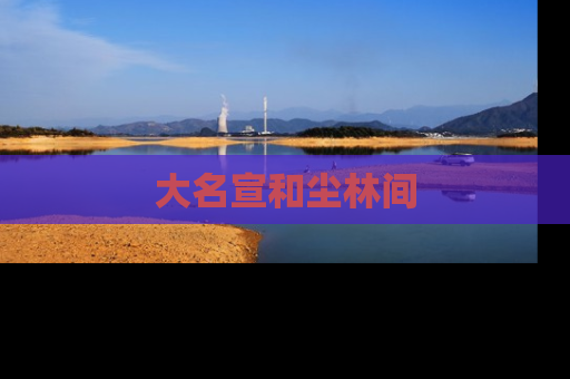 大名宣和尘林间
