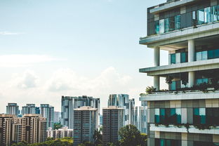 株洲房屋出租市场分析，机遇与挑战并存