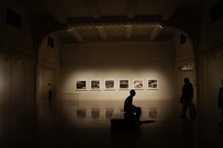 艺术与空间的交响，如何在画展展厅中寻找理想的房产