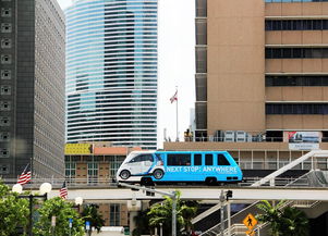 肃宁租房市场全解析，热门区域、价格趋势与租房攻略