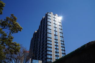 杭州市房产新政策深度解析，市场影响与购房者指南