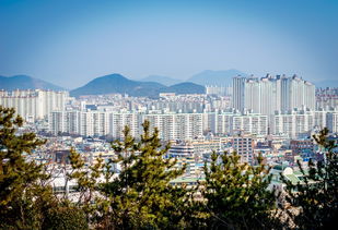 上海汇宁花园，城市绿洲中的现代居住典范