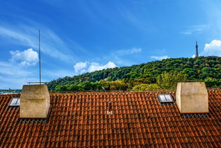 桂花村租房指南，探索城市绿洲中的温馨家园