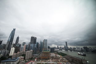 上海房产市场深度解析，投资与居住的黄金机遇