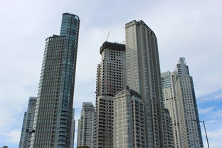 哈尔滨房屋出租，探索冰城的温馨家园