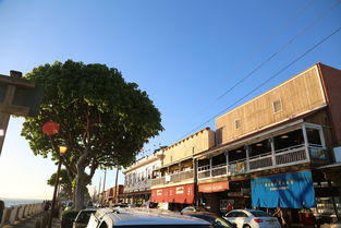 漯河租房指南，如何在这座活力城市找到理想的家