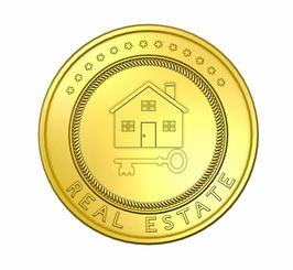 河东区房产市场新动态，探索高性价比房屋出租的黄金机会