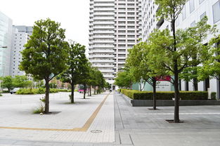 郑州锦绣花园，现代都市中的绿色家园