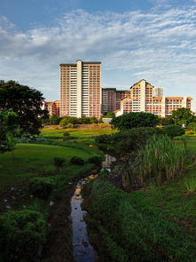 郑州锦绣花园，现代都市中的绿色家园