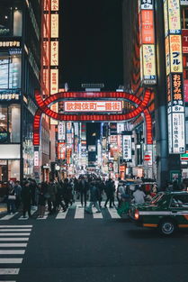 石家庄日租公寓，城市生活的新选择，短租市场的新星