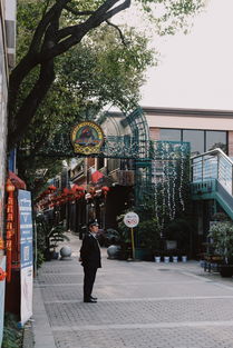 广州红日厨卫，揭秘城市心脏地带的高端厨卫生活艺术
